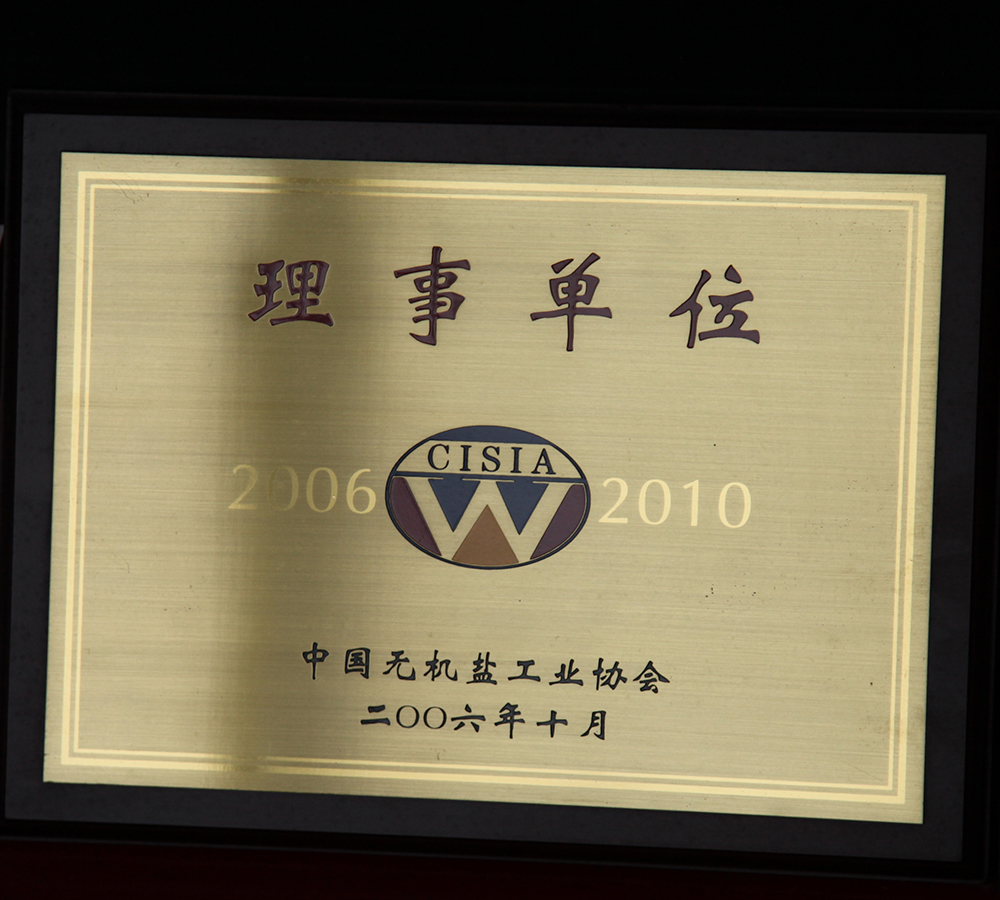 三聚磷酸鈉中國(guó)無(wú)機(jī)鹽工業(yè)協(xié)會(huì)理事